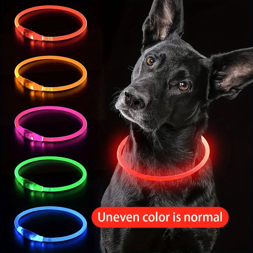 Collier lumineux LED bleu pour chien en promenade de nuit
