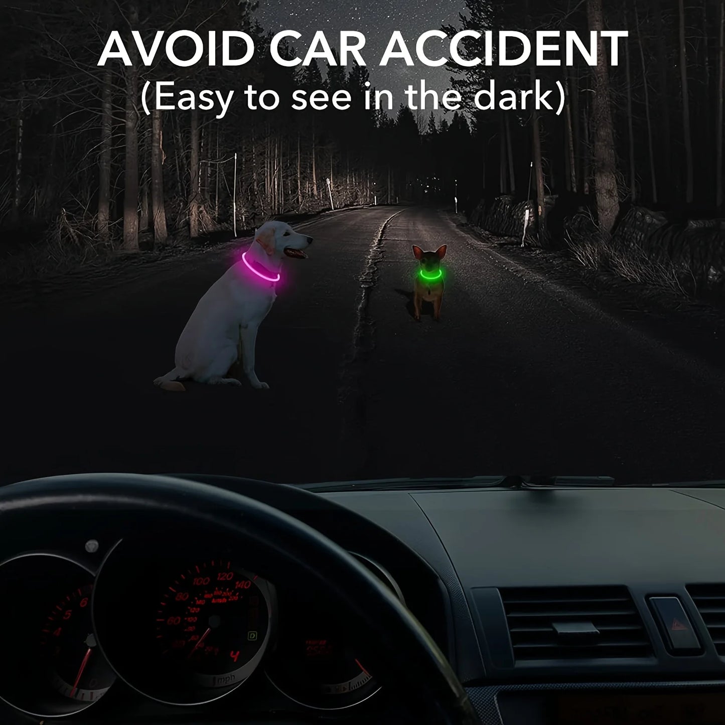 Collier lumineux rechargeable USB pour chien – sécurité nocturne