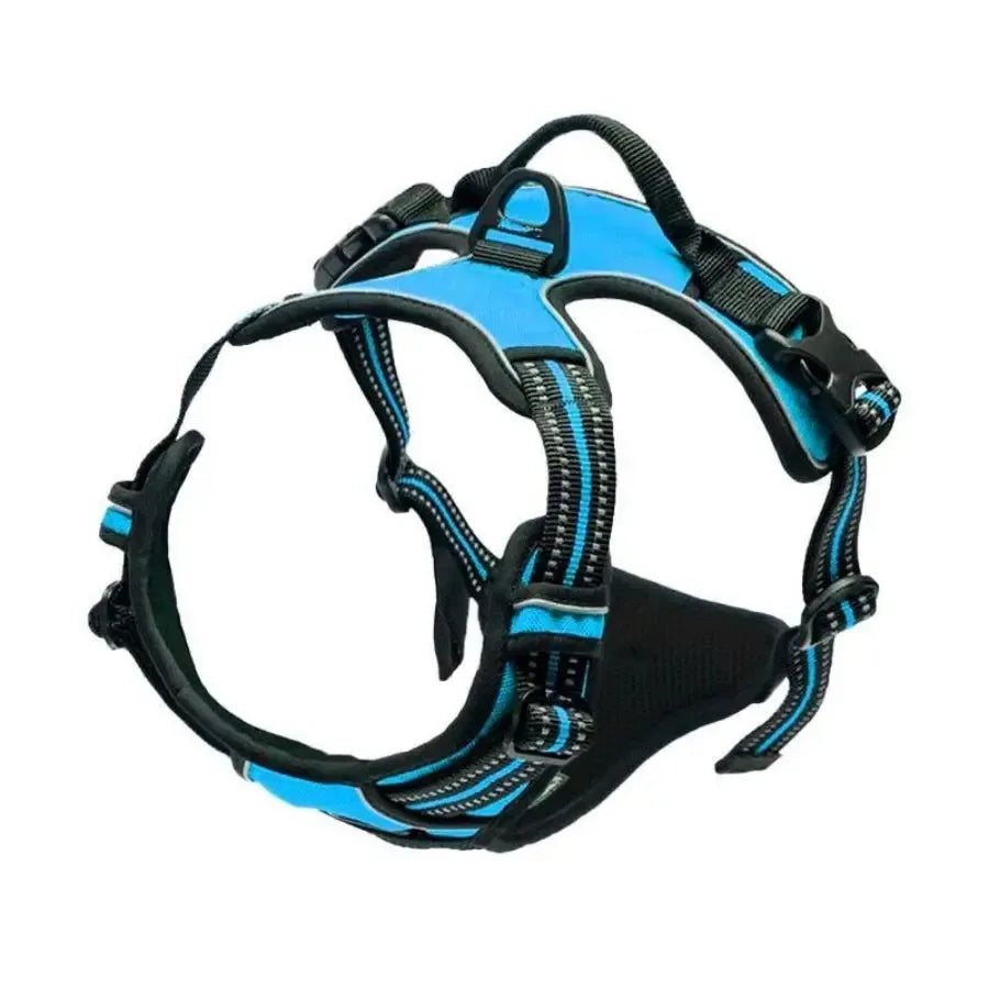 Harnais pour Chiens - Confort et Contrôle Optimal pour Votre Compagnon - Canicat & Compagnie