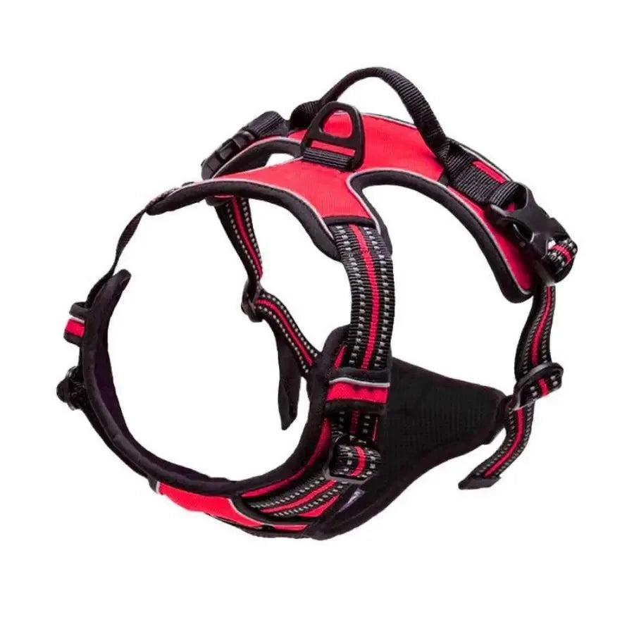 Harnais pour Chiens - Confort et Contrôle Optimal pour Votre Compagnon - Canicat & Compagnie