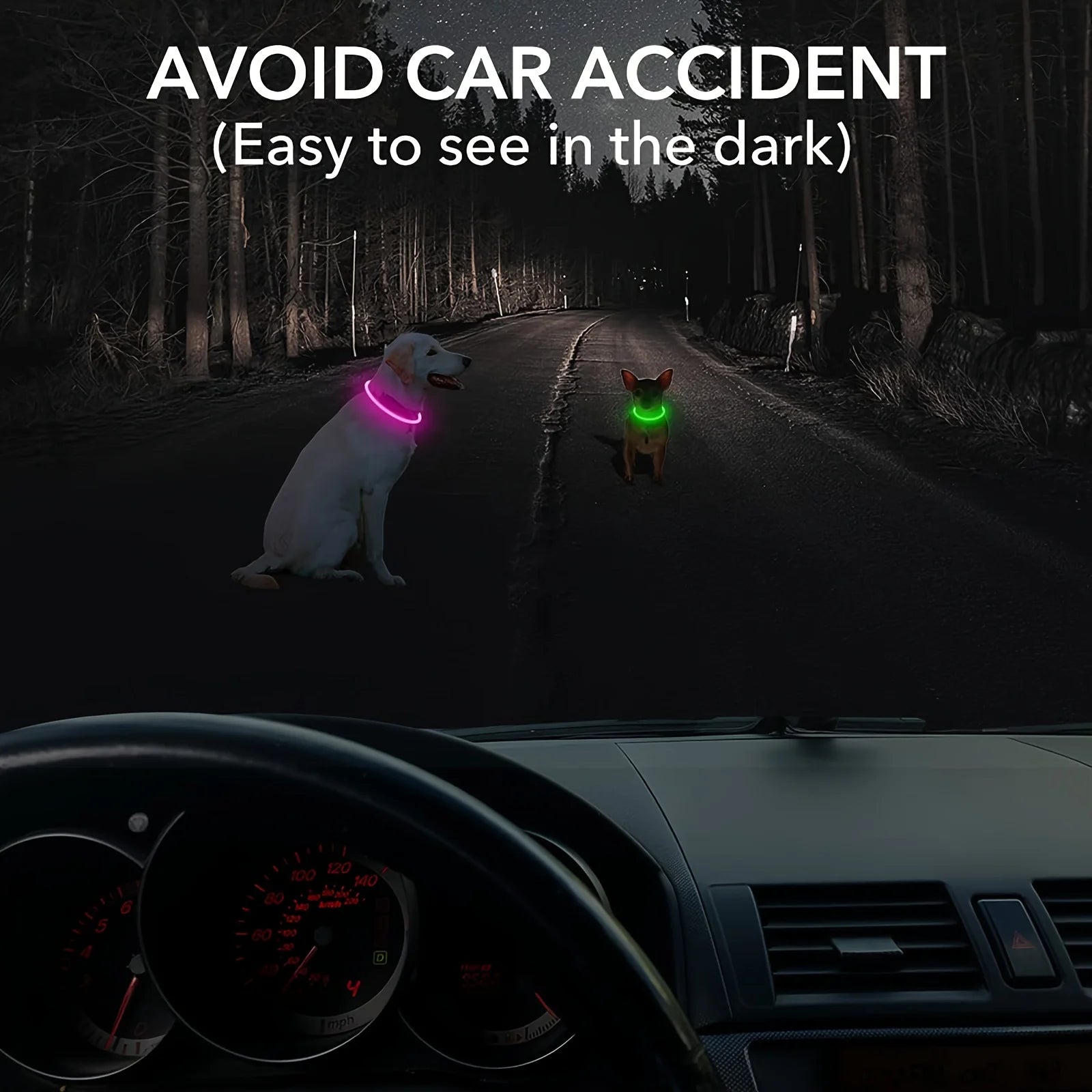 Collier lumineux rechargeable USB pour chien – sécurité nocturne