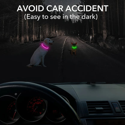 Collier lumineux rechargeable USB pour chien – sécurité nocturne
