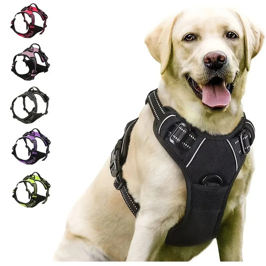 Harnais pour Chiens - Confort et Contrôle Optimal pour Votre Compagnon - Canicat & Compagnie
