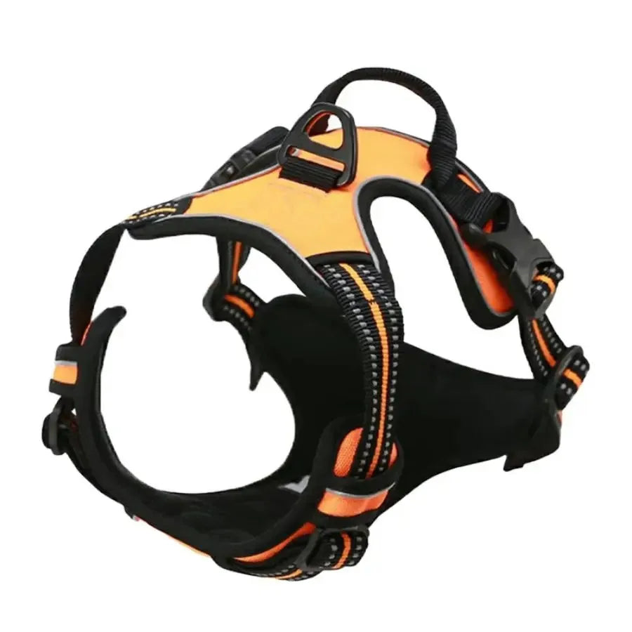 Harnais pour Chiens - Confort et Contrôle Optimal pour Votre Compagnon - Canicat & Compagnie